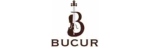 Lutier Ioan Bucur