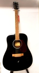 D-120 Black