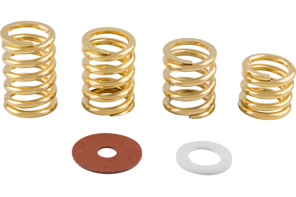 Spring and Washer Pack Gold