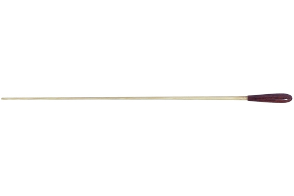 Bagheta dirijor