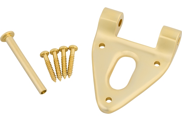 Conventional Hinge w/Hinge Pin and Screws Gold