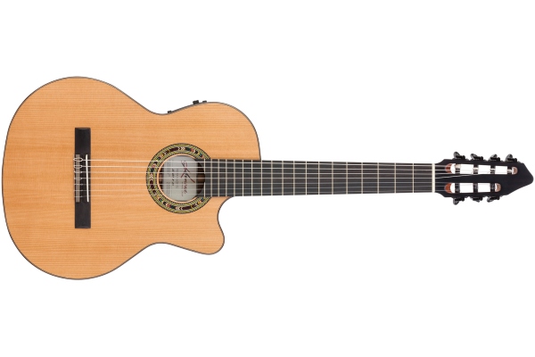 Performer F65CW-7S Solid Cedar/Solid Rosewood Back