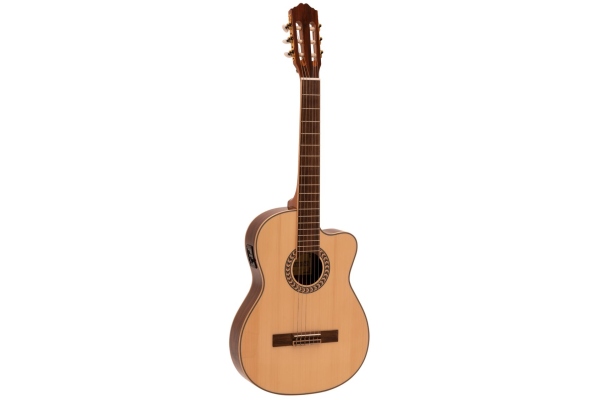 TB-100 Classical guitar, nature