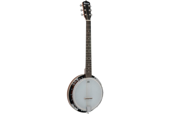 BJ-30 Banjo, 6-string