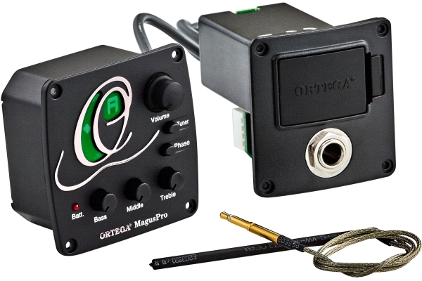 Preamp with built in tuner - for acoustic basses