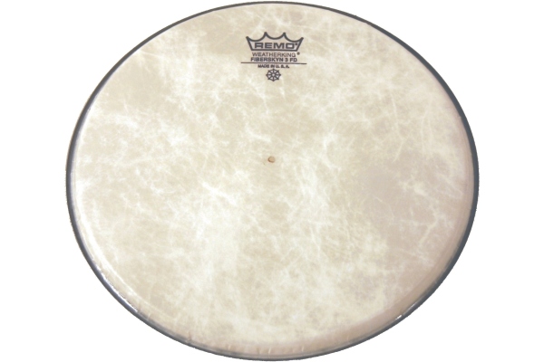  Ambassador Cuica 10