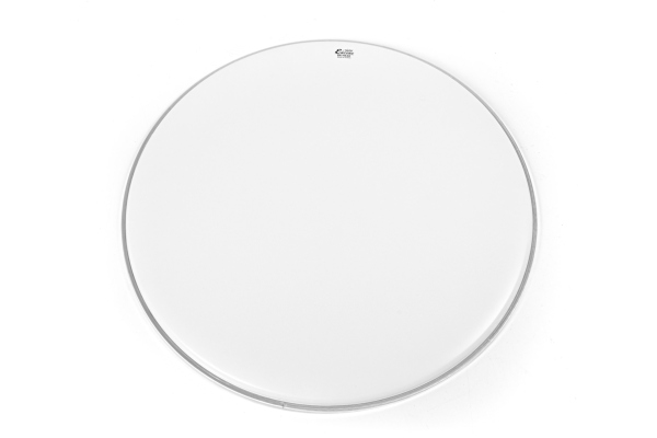 Ambassador white coated BD 22
