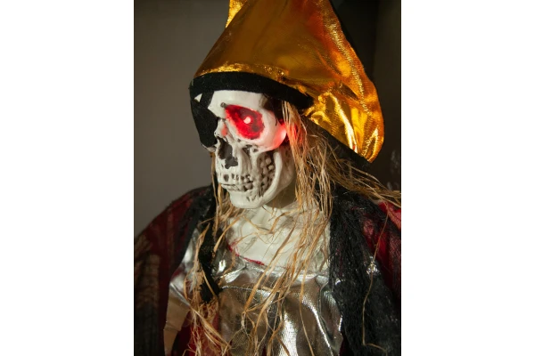 Europalms Halloween Pirate, 170cm