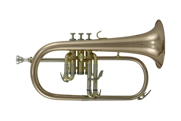 Roy Benson Flugelhorn Bb FH-302G Roy Benson Flugelhorn Bb FH-302G