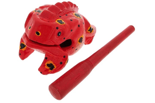 Frog S Percussion Frog Paint