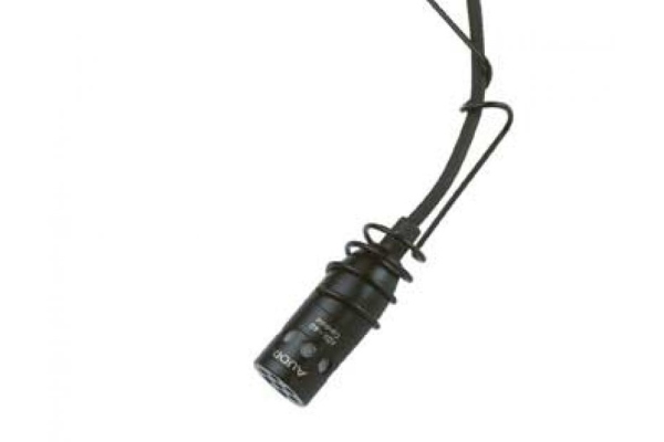 Audix ADX40