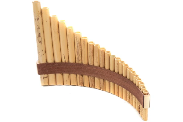 Gewa Premium 22 G-major