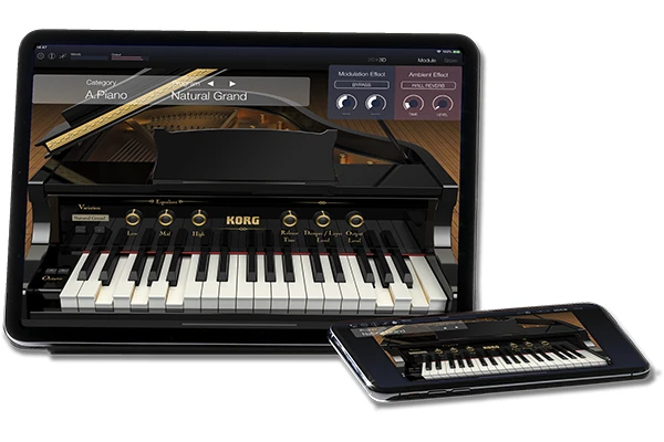 Korg LP-380U Black