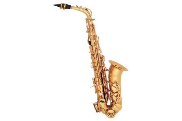 Parrot 6430 GL Parrot 6430 GL