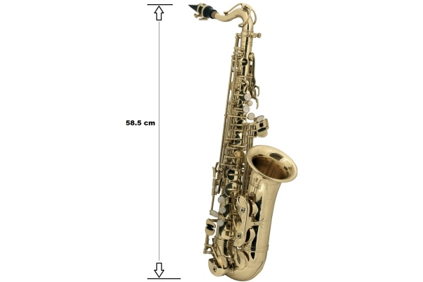 Roy Benson AS-201 Eb Alto Roy Benson AS-201 Eb Alto