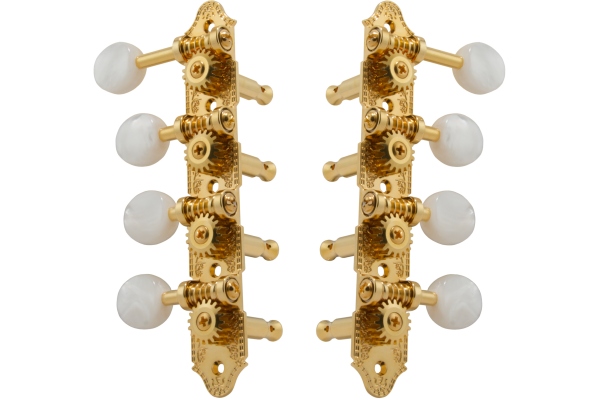  309FG Professional Mandolin Standard 