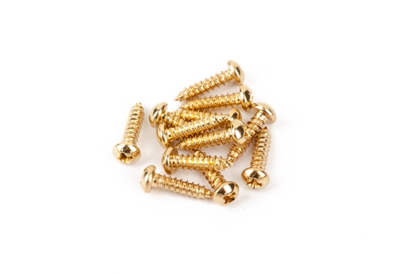 Pure Vintage Tuning Machine Mounting Screws Gold