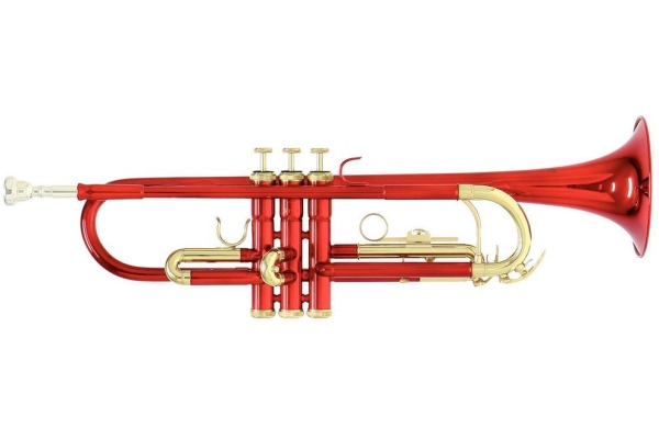 TR-101R Student