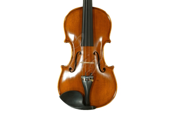 Gliga Vioara 4/4 Gama (profesional), spate intreg